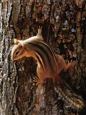 (image for) Handmade Oil painting for home canvas, oil painting framed canvas for living room Carl Brenders paintings Narrow Escape-Chipmunk - Click Image to Close